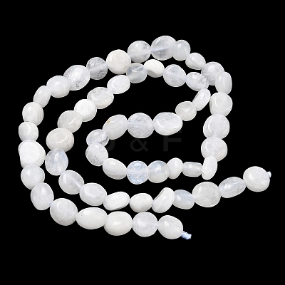 Natural Rainbow Moonstone Beads Strands X-G-Q961-27-1
