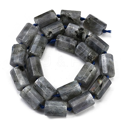 Natural Labradorite Beads Strands G-G162-D13-02-1