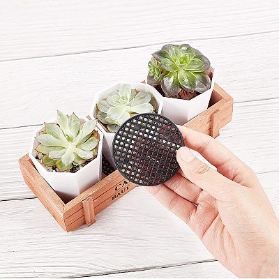 DIY Bonsai Kit DIY-GA0001-10-1
