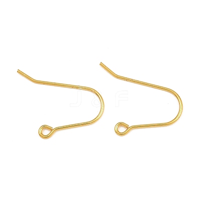 304 Stainless Steel Ear Wires SA-CBA5F7B-01G-1