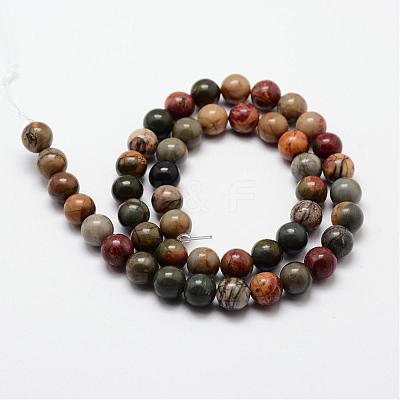 Natural Polychrome Jasper/Picasso Stone/Picasso Jasper Bead Strands G-O155-02A-10mm-1