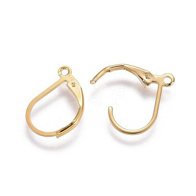 304 Stainless Steel Leverback Earring Findings X-STAS-L221-09G-1