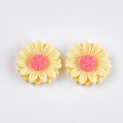 Resin Cabochons CRES-T010-60H-1