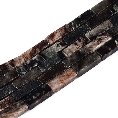 Natural Biotite Beads Strands G-T141-103-1
