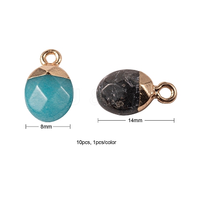 10Pcs 10 Style Natural Gemstone Charms G-LS0002-15-1