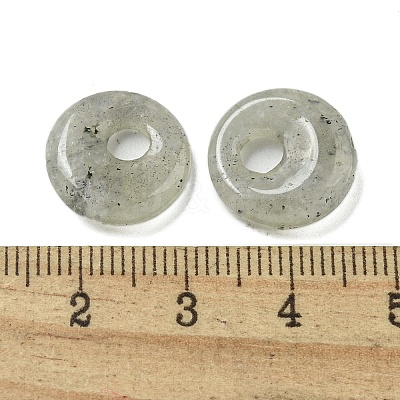 Natural Labradorite Donut/Pi Disc Charms G-G142-02Q-1