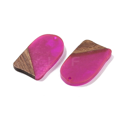 Resin & Wood Pendants WOOD-F015-13G-1