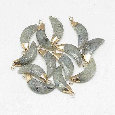 Natural Labradorite Pendants G-Q494-80D-1
