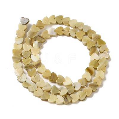 Handmade Lampwork Beads Strands LAMP-Q035-01M-1