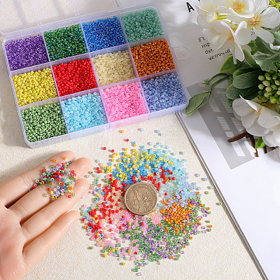 156g 12 Style Glass Seed Beads SEED-SC0001-32A-05-1