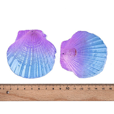 Spray Painted Natural Scallop Shell Big Pendants SSHEL-T017-14C-1