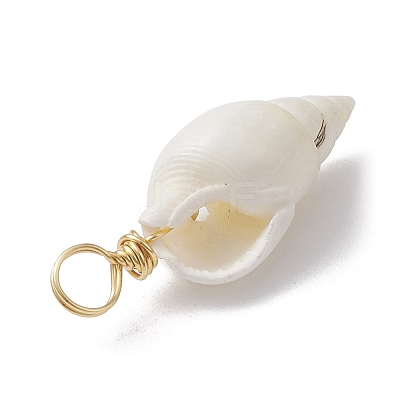 Spiral Shell Pendants PALLOY-JF02492-01-1