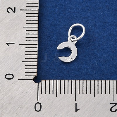 925 Sterling Silver Letter Charms LS-STER-C012-01S-C-1