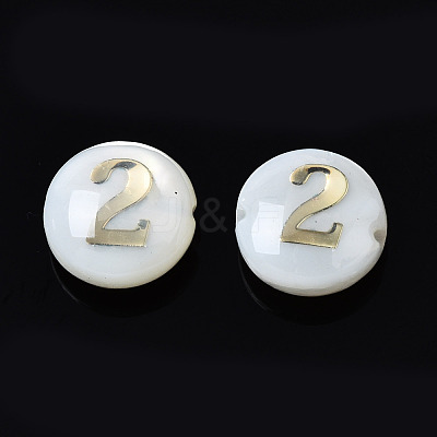 Natural Freshwater Shell Beads SHEL-N003-20-02-1