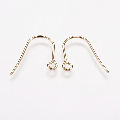 304 Stainless Steel Earring Hooks X-STAS-F142-01G-1
