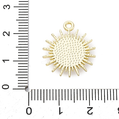 Alloy Pendants ENAM-F152-04G-1