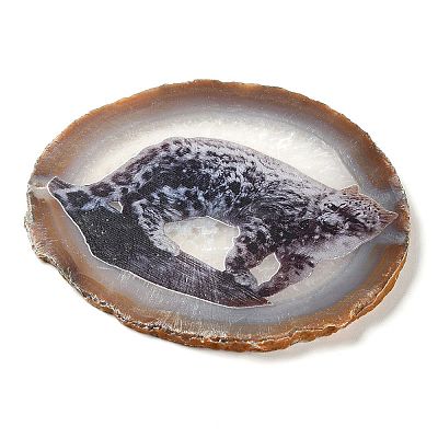 Printed Natural Agate Slice Stone Ornament DJEW-M011-03G-1