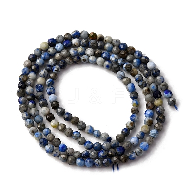 Natural Lapis Lazuli Beads Strands LS-G-L629-B01-2mm-03-1