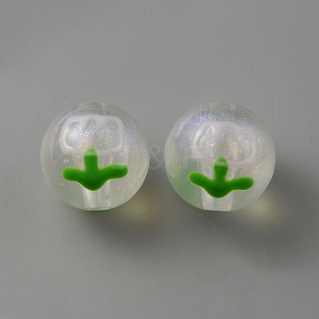 Transparent Acrylic Beads LS-OACR-TAC0006-01D-1