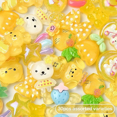 30Pcs 15 Styles Translucent Resin Cabochons CRES-YW0002-36E-1