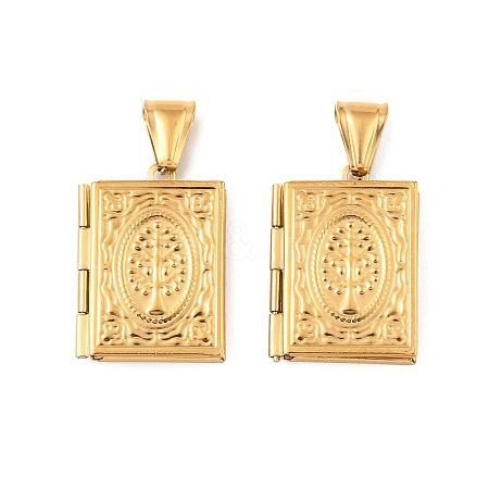 316 Stainless Steel Locket Pendants STAS-K321-03G-1