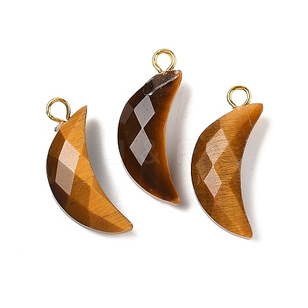 Natural Tiger Eye Pendants G-L614-D05-G04-1