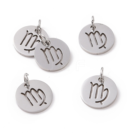 Non-Tarnish 304 Stainless Steel Charms STAS-Q201-T445-6S-1