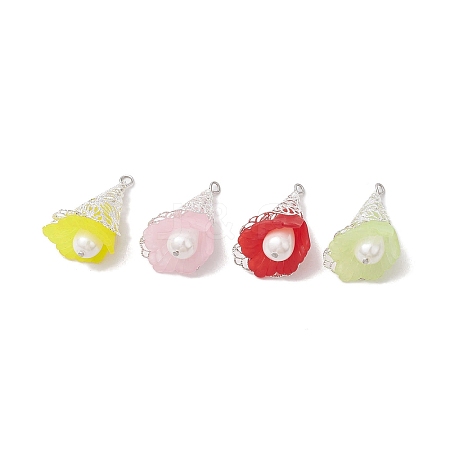 Acrylic Pendants PALLOY-TA00128-1