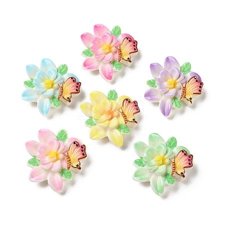 Resin Cabochons CRES-D323-06-1