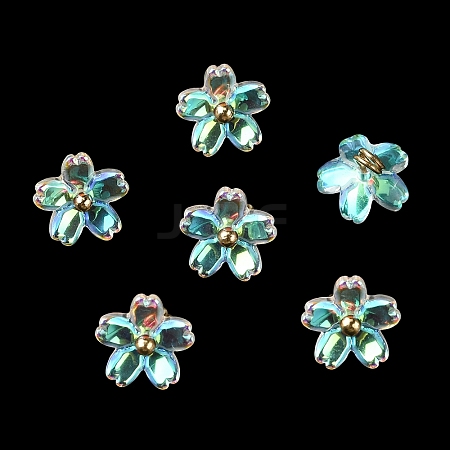 Alloy Acrylic Pendants TACR-P016-01G-09-1