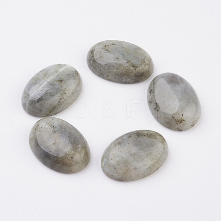 Natural Labradorite Flat Back Cabochons G-G741-13x18mm-18-1