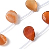 Natural Red Agate(Dyed & Heated) Beads Strands G-A259-A01-02-1