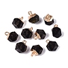 Natural Obsidian Pendants G-N359-18G-01-1