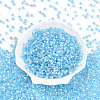 Glass Seed Beads SEED-N007-01D-2