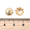 Brass Bead Caps KK-Z030-09LG-3