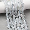 Natural Quartz Crystal Rock Crystal Beads Strands G-C286-A31-8
