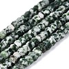 Natural Green Spot Jasper Beads Strands G-Q606-46A-07-2