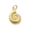 Brass Pendants LS-KK-Q040-05C-G-1