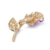 Alloy Rhinestone Brooches JEWB-H028-02G-04-2