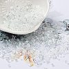 Transparent Colours Luster Glass Seed Beads SEED-S042-02B-02-1