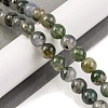 Natural Moss Agate Beads Strands G-J358-01-10MM-2