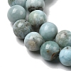 Natural Larimar Beads Strands G-B156-A01-8mm-5