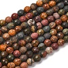Natural Polychrome Jasper/Picasso Stone/Picasso Jasper Beads Strands G-E571-25A-2