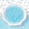 Baking Paint Electroplate Transparent Glass Seed Beads SEED-N006-07K-2