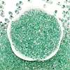 6/0 Spray Paint Fringe Glass Seed Beads X1-SEED-H003-11L-3