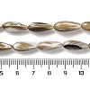 Natural Freshwater Shell Beads Strands SSHEL-B002-12-4