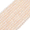 Natural Cultured Freshwater Pearl Beads Strands PA-CBABE82-05-2
