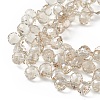 Transparent Electroplate Glass Beads Strands EGLA-F152B-PL03-3