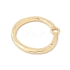 Alloy Pendants PALLOY-F316-01A-G-2