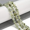 Natural Prehnite Beads Strands G-G053-B12-01A-2